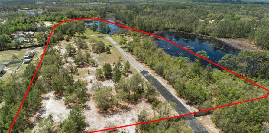 Land in Eustis, Florida № 2195187