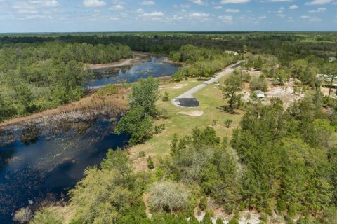 Land in Eustis, Florida № 2195187 - photo 6