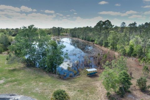 Land in Eustis, Florida № 2195187 - photo 10
