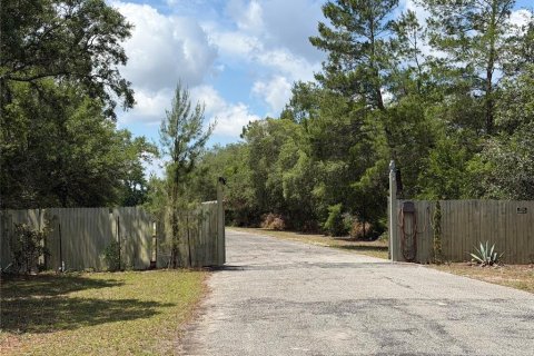 Land in Eustis, Florida № 2195187 - photo 2