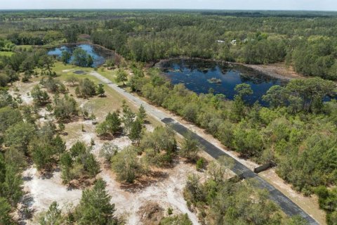 Land in Eustis, Florida № 2195187 - photo 3
