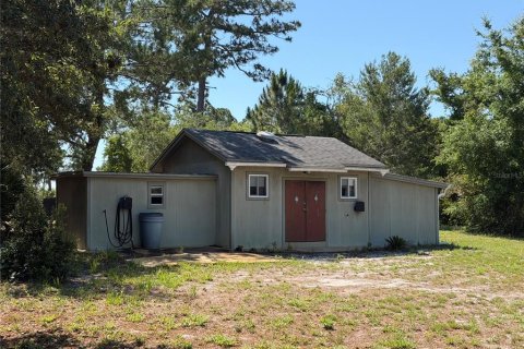 Land in Eustis, Florida № 2195187 - photo 14
