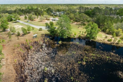 Land in Eustis, Florida № 2195187 - photo 11