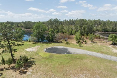 Land in Eustis, Florida № 2195187 - photo 9