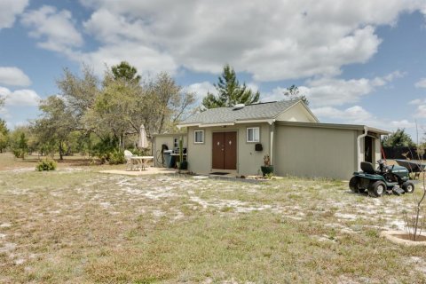 Land in Eustis, Florida № 2195187 - photo 8