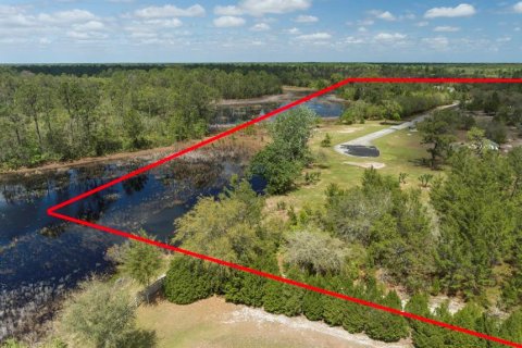 Land in Eustis, Florida № 2195187 - photo 4