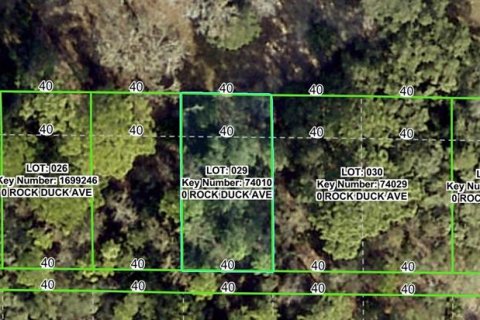 Land in Brooksville, Florida № 2159812 - photo 2