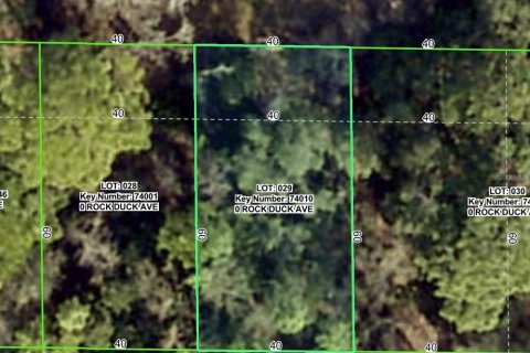 Land in Brooksville, Florida № 2159812