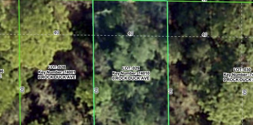 Land in Brooksville, Florida № 2159812