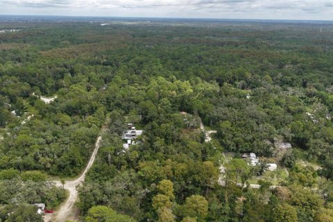 Land in New Port Richey, Florida № 2393767 - photo 12