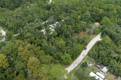 Land in New Port Richey, Florida № 2393767 - photo 14