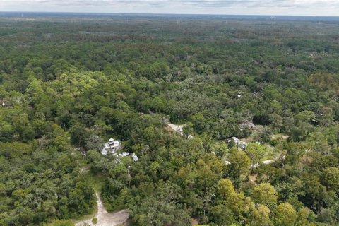 Land in New Port Richey, Florida № 2393767 - photo 11