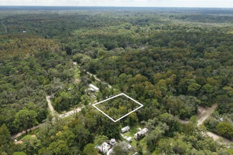 Land in New Port Richey, Florida № 2393767 - photo 3