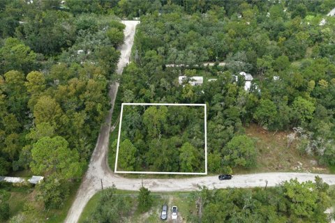 Land in New Port Richey, Florida № 2393767 - photo 2