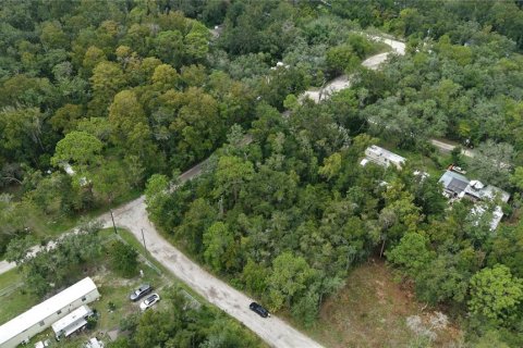 Land in New Port Richey, Florida № 2393767 - photo 16