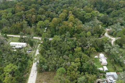 Land in New Port Richey, Florida № 2393767 - photo 17