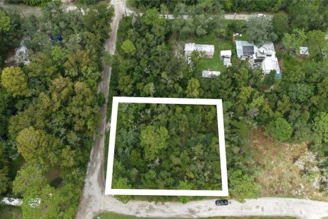 Land in New Port Richey, Florida № 2393767