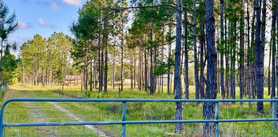 Land in Ormond Beach, Florida № 1657143