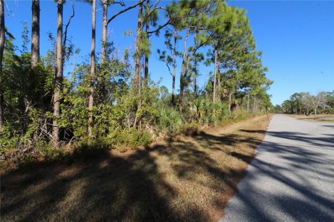 Land in Port Charlotte, Florida № 2160919 - photo 8