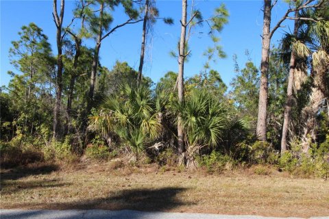 Land in Port Charlotte, Florida № 2160919 - photo 7