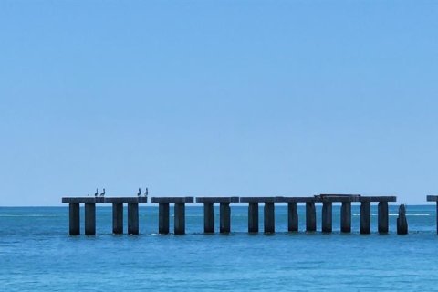 Land in Port Charlotte, Florida № 2160919 - photo 17