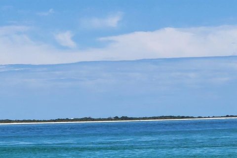 Land in Port Charlotte, Florida № 2160919 - photo 18
