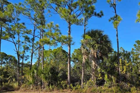 Land in Port Charlotte, Florida № 2160919