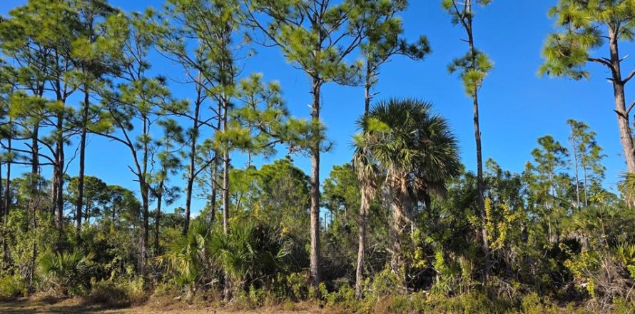 Land in Port Charlotte, Florida № 2160919