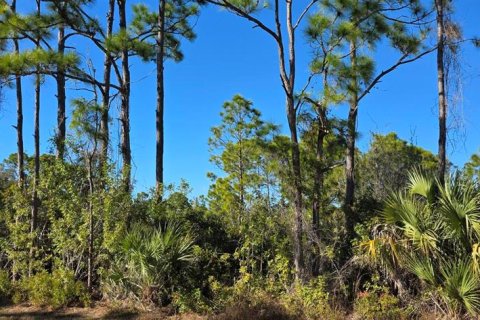 Land in Port Charlotte, Florida № 2160919 - photo 3