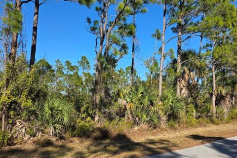 Land in Port Charlotte, Florida № 2160919 - photo 4