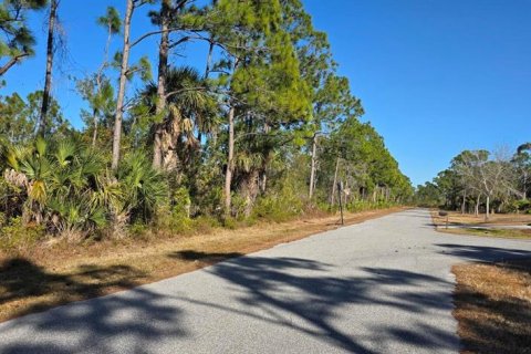 Land in Port Charlotte, Florida № 2160919 - photo 5