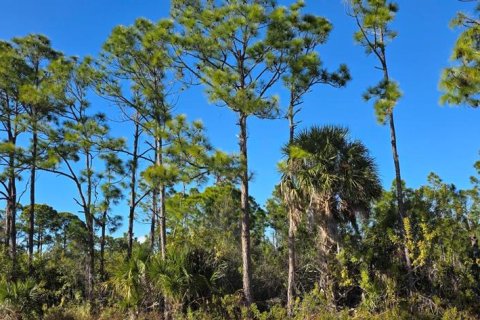Land in Port Charlotte, Florida № 2160919 - photo 6