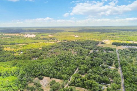 Land in Crystal River, Florida № 1627061 - photo 4