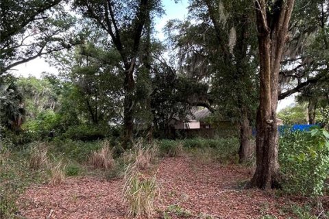 Terrain à vendre à Eustis, Floride № 2148432 - photo 3