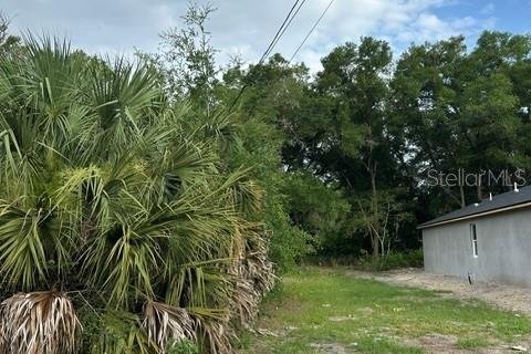 Terrain à Eustis, Floride № 2148432