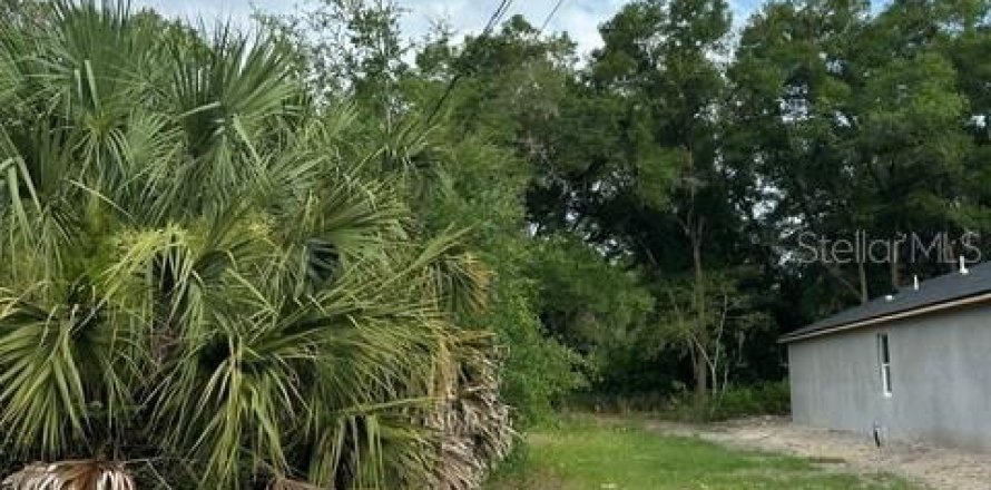 Terrain à Eustis, Floride № 2148432