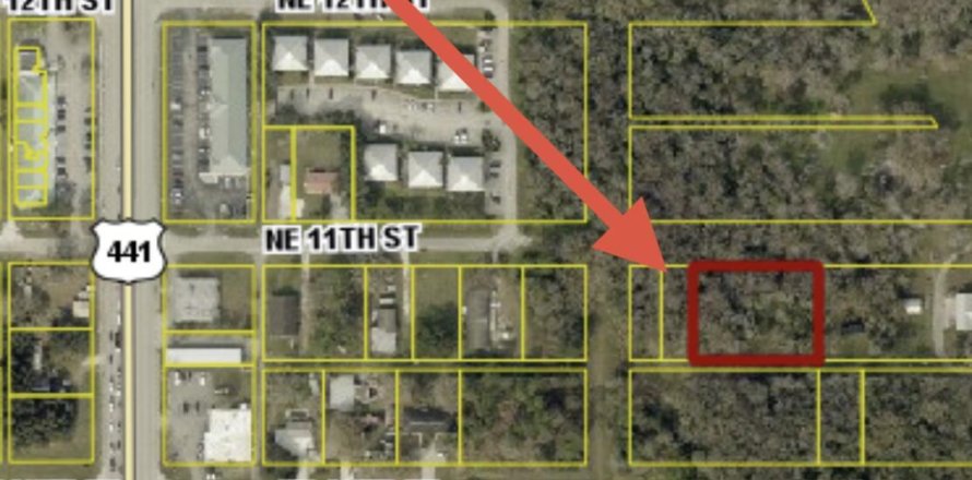 Commercial property in Okeechobee, Florida № 2240846