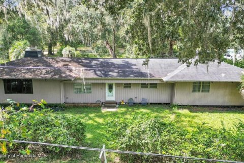 Villa ou maison à vendre à Lake Panasoffkee, Floride: 4 chambres, 234.86 m2 № 1254313 - photo 1