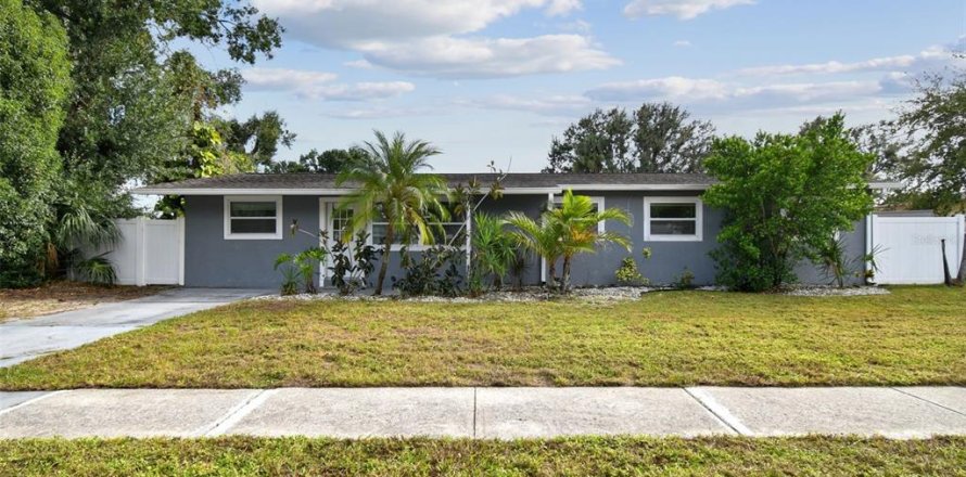 House in Tampa, Florida 4 bedrooms, 146.41 sq.m. № 2206066