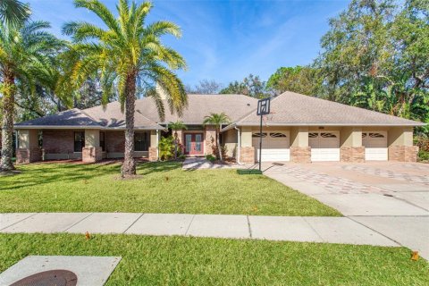 House in Oldsmar, Florida 4 bedrooms, 388.89 sq.m. № 1536174 - photo 1