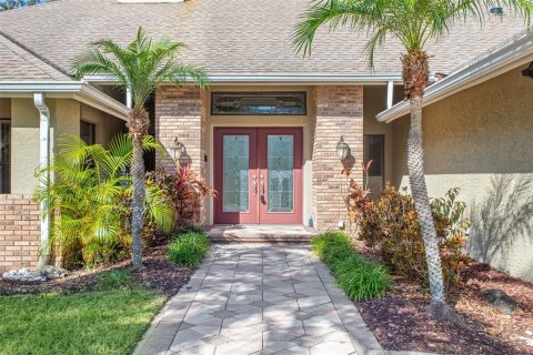 House in Oldsmar, Florida 4 bedrooms, 388.89 sq.m. № 1536174 - photo 27