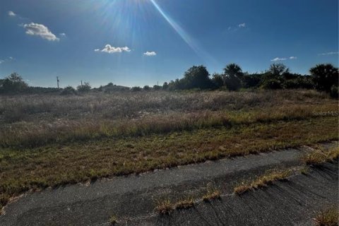 Terrain à vendre à LaBelle, Floride № 2161513 - photo 3