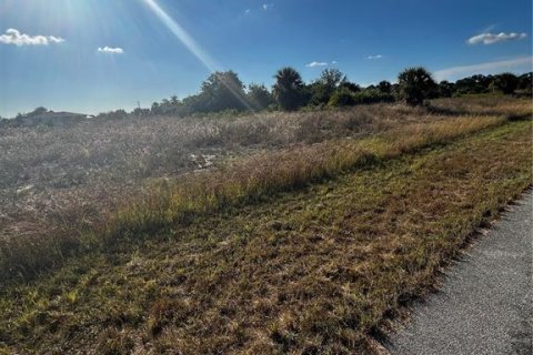 Terrain à vendre à LaBelle, Floride № 2161513 - photo 4