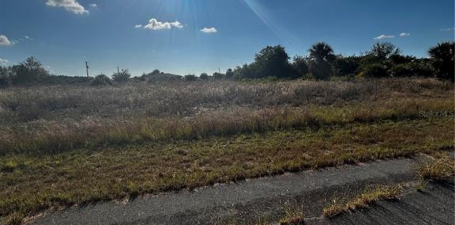 Terrain à LaBelle, Floride № 2161513