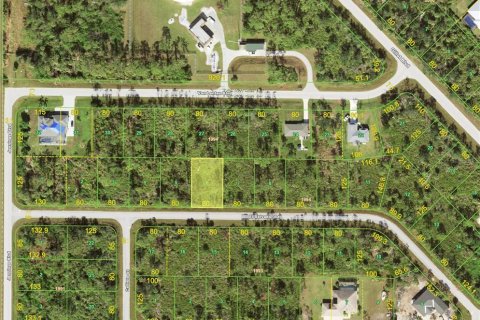 Land in Port Charlotte, Florida № 2163291