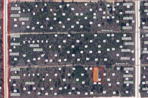 Land in Interlachen, Florida № 2223870 - photo 2