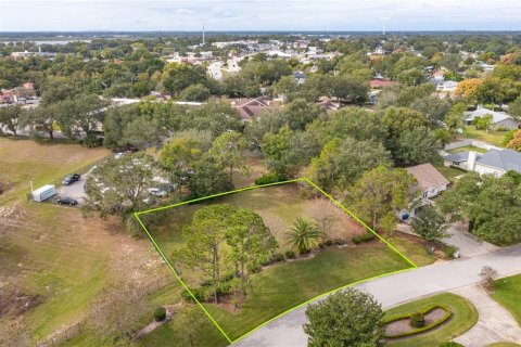 Land in Winter Haven, Florida № 1723779 - photo 2
