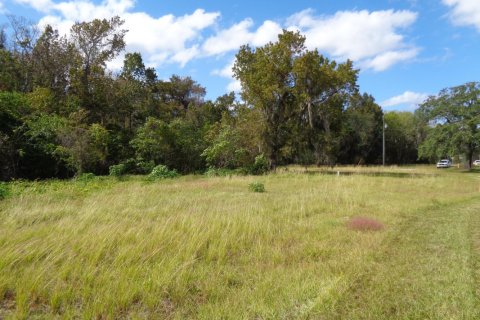 Land in East Palatka, Florida № 809448 - photo 1