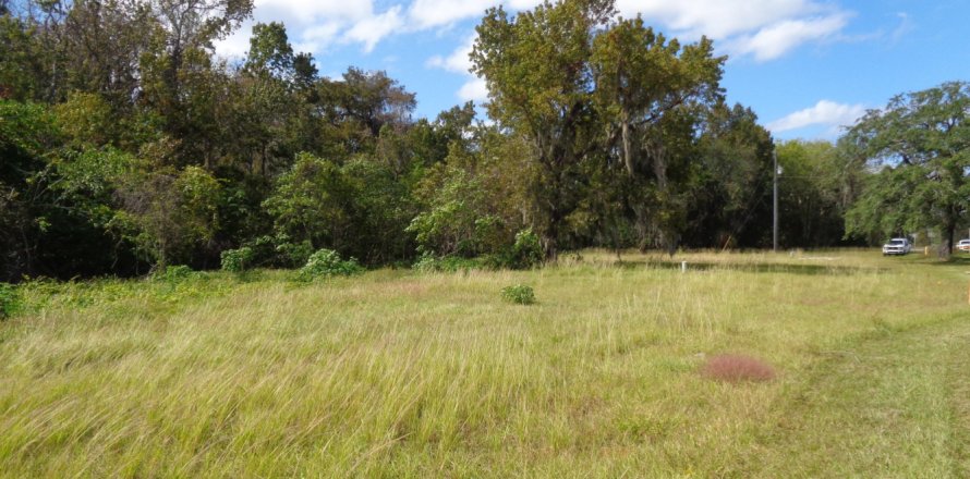 Land in East Palatka, Florida № 809448