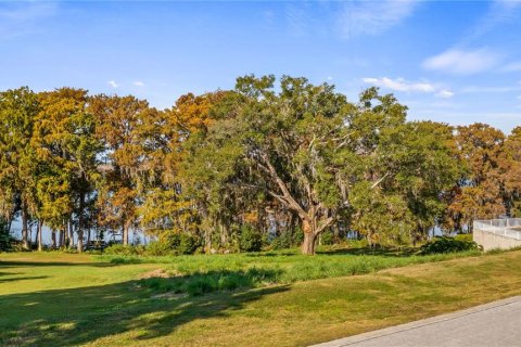Land in Eustis, Florida № 2133506 - photo 3
